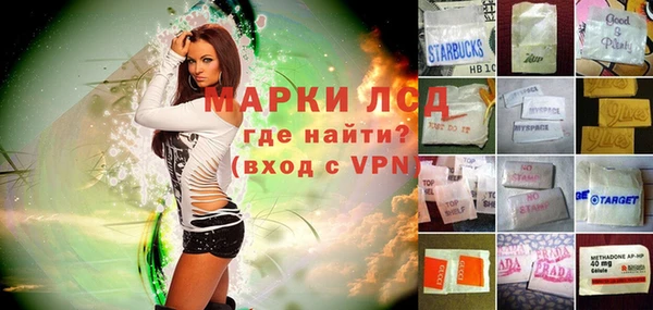 стафф Нефтекумск