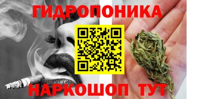 гашик Волжский