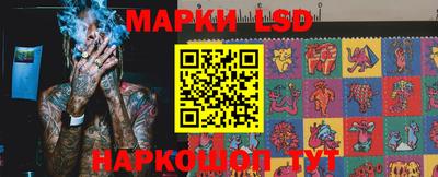 СК Волгодонск