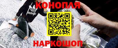 СК Волгодонск