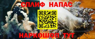 СК Волгодонск
