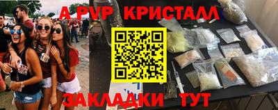 СК Волгодонск