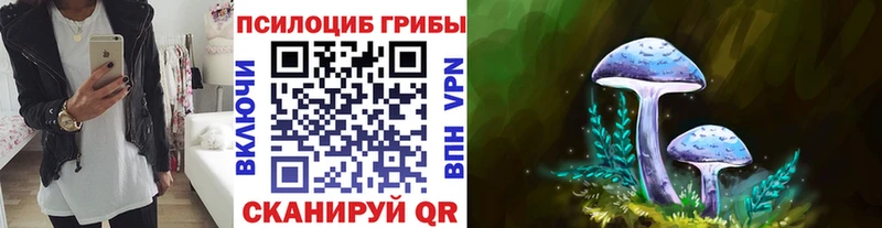как найти наркотики  Касимов  Псилоцибиновые грибы Psilocybe 