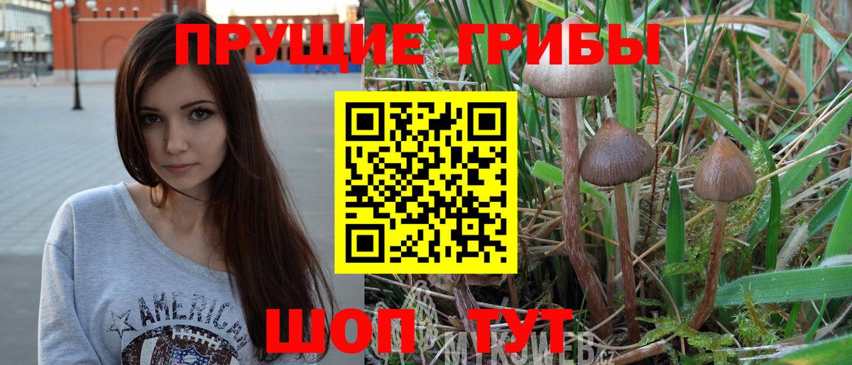 магазин продажи наркотиков  Галлюциногенные грибы Cubensis  Касимов  Вход с VPN  Псилоцибиновые грибы Psilocybine cubensis 