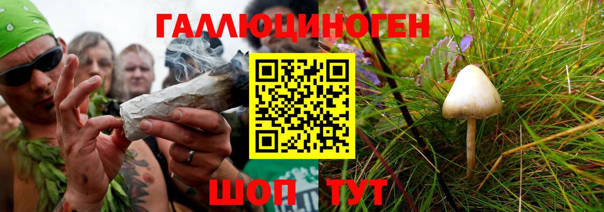 Псилоцибиновые грибы мицелий Касимов